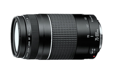 【外観美品】Canon EF 75-300mm F4-5.6 II USM EF 75-300mm f/4.0-5.6 III Telephoto Zoom Lens | Canon eStore Canada