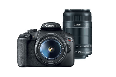 Urso Canon com Miniatura Câmera 5D Mark IV