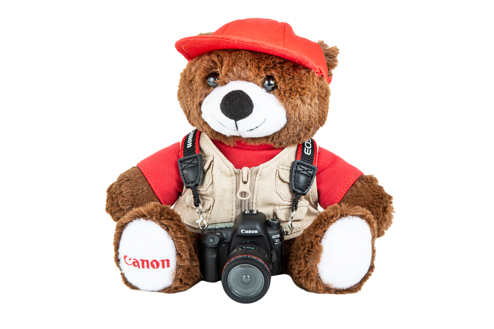 Urso Canon com Miniatura Câmera 5D Mark IV view 3 