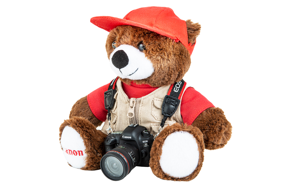 Urso Canon com Miniatura Câmera 5D Mark IV view 4 