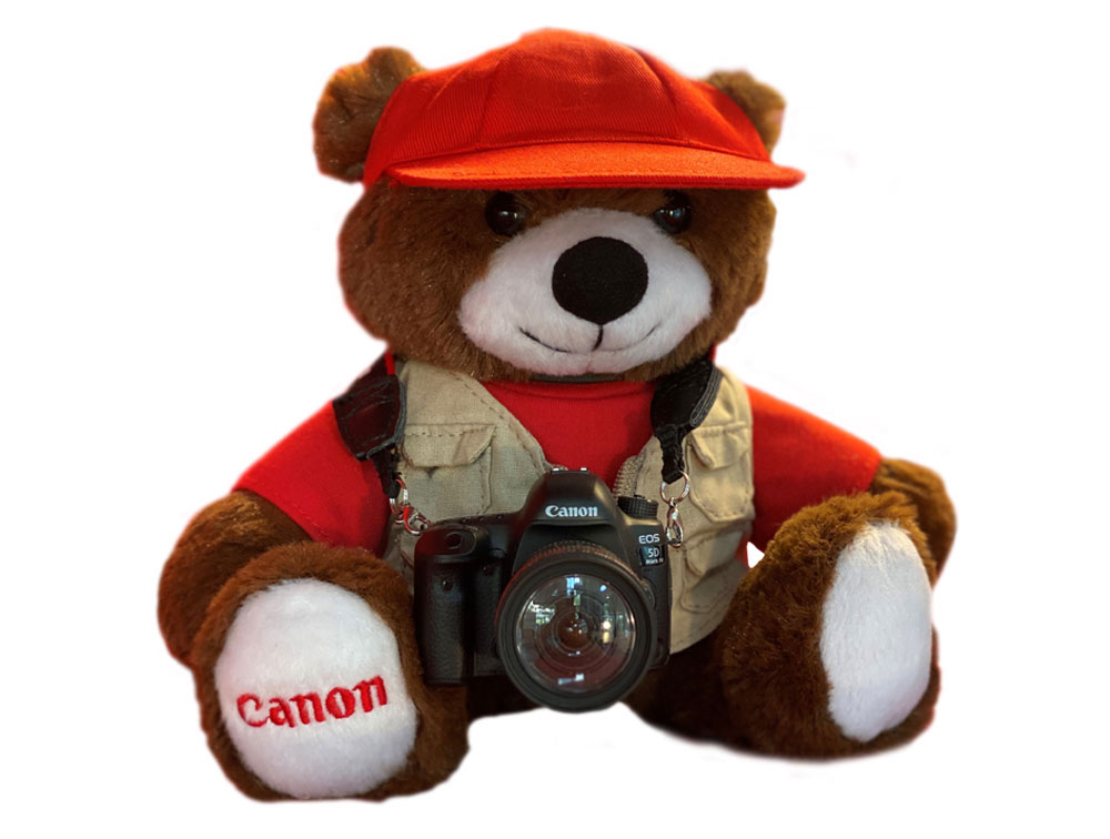 Urso Canon com Miniatura Câmera 5D Mark IV view 2 