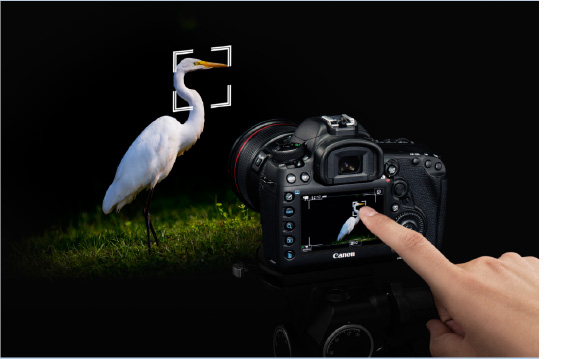 Dual Pixel CMOS AF with Touch Panel Operation