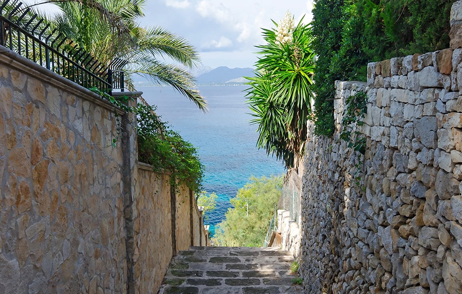 Amplio campo de visión